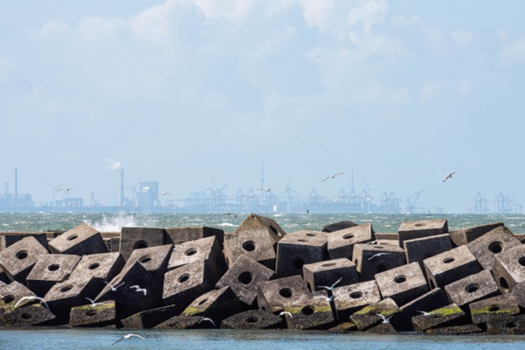 Haven van Rotterdam