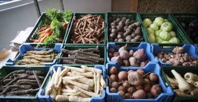 Producten biologische boerderij Hoeve Biesland winkel