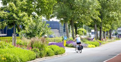Foto van een boeiend bloeiend bedrijventerrein Grote Polder